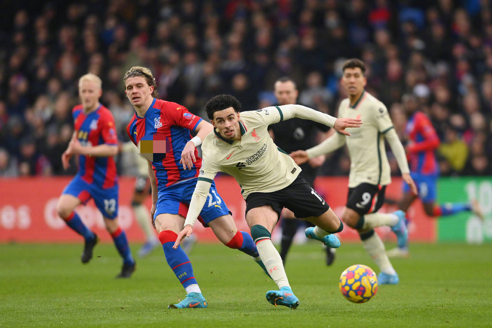 显然被现场 显然被现场